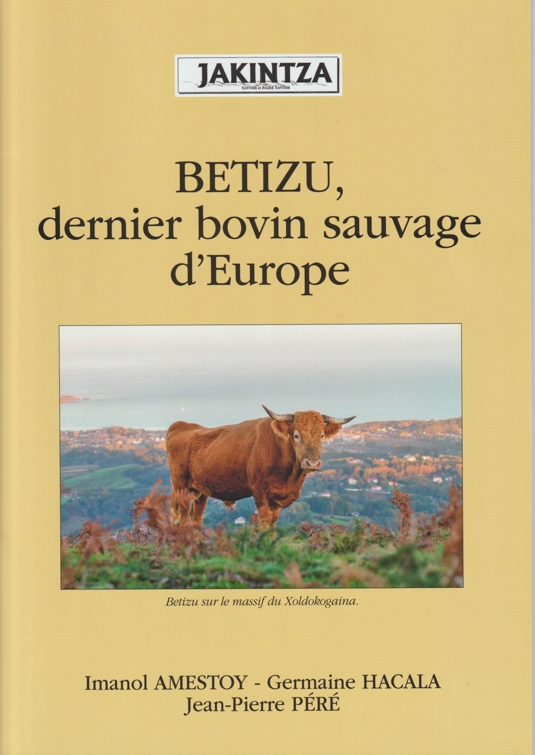 98 - Betizu, dernier bovin d'Europe